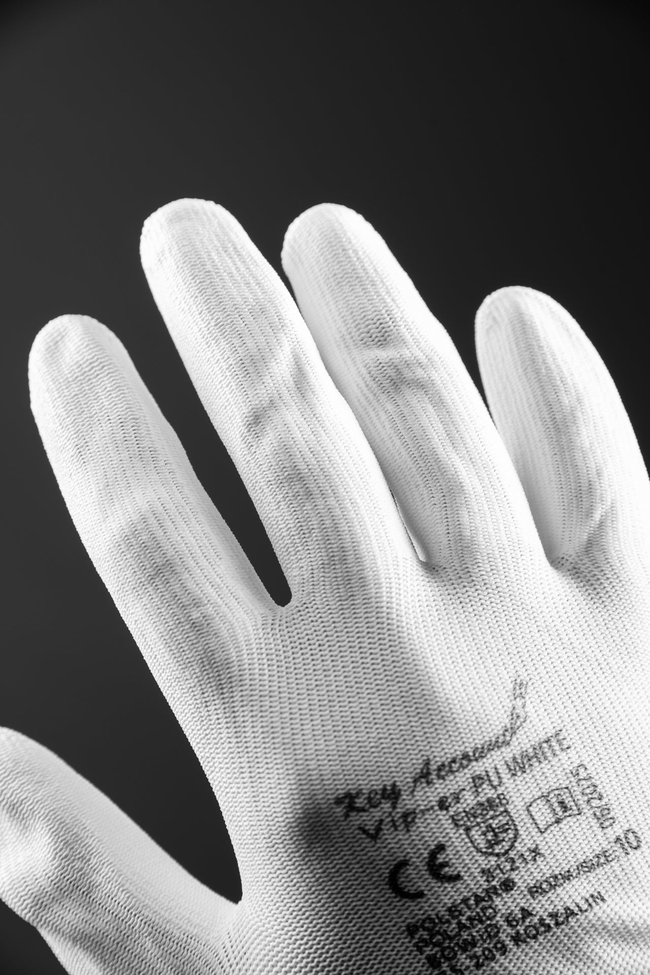 _dsc9001.jpg