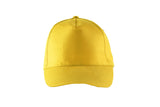 img_0001-edit-edit-3-1.jpg